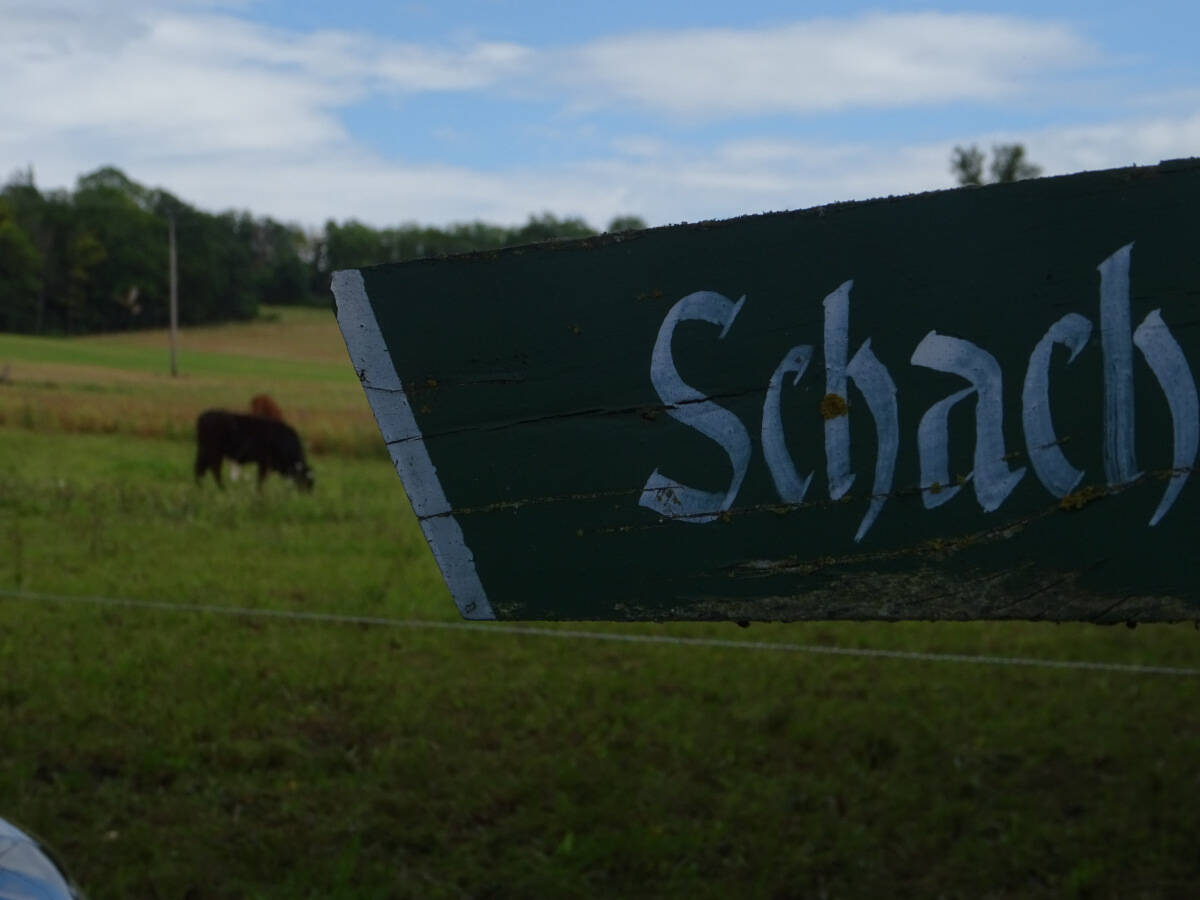 Hier entlang zum Mannschaftskampf